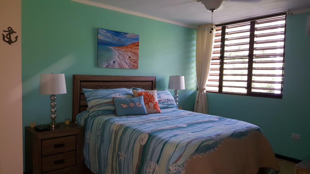 Fully Air-Conditioned Beach Front Penthouse Apartment Naguabo 外观 照片