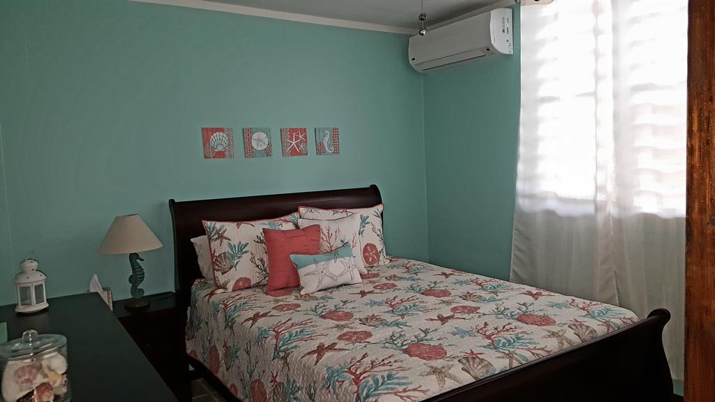 Fully Air-Conditioned Beach Front Penthouse Apartment Naguabo 外观 照片